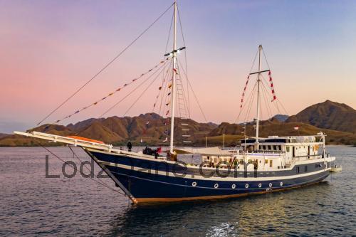 Seahorse 720 opinie i specyfikacja